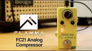 Flamma Innovation FC21 Analog Compressor