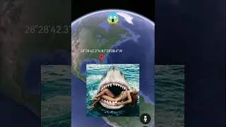 Huge shark😱on Google Earth #shorts #googlemaps #googleearth #armkien