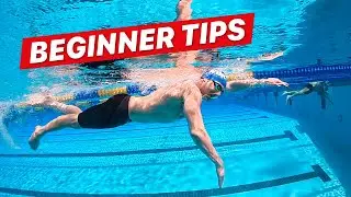 How to Swim Freestyle for Beginner Adults