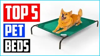 Top 5 Best Pet Beds In 2022