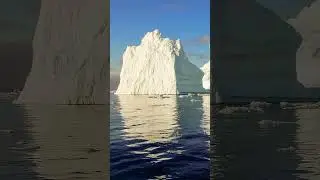 Heat Wave in Antarctica Threats to a Fragile Ecosystem