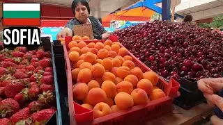 Inside Women's Market SOFIA Bulgaria | CHEAP Local Street Food 🇧🇬
