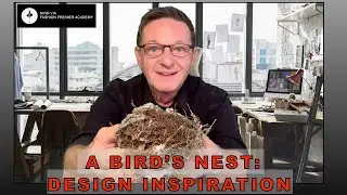 How a Bird’s Nest Inspires Fashion Design and Creativity ~