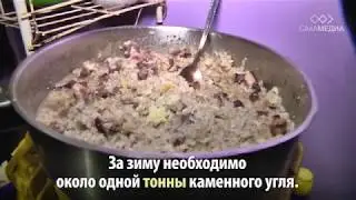 Балок. Где живут оленеводы?