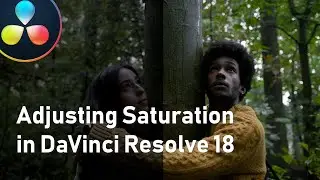 How to adjust the saturation in DaVinci Resolve 18