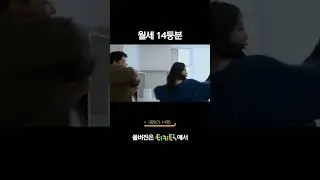 월세 14등분