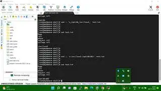 Sed Command in Linux/Unix with examples | Strean Editor the essentail command s for substitution