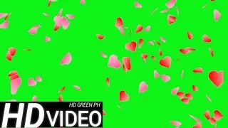 HD HEART SHOWER || HD GREEN SCREEN || FREE TO USE