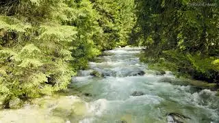 4k Foggy River Flowing through Picturesque Valley. River Sounds, White Noise, Nature Sounds 10 hours