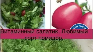 Витаминный салат 🤗 Любимый сорт помидор для засолки 🍅🍅🍅