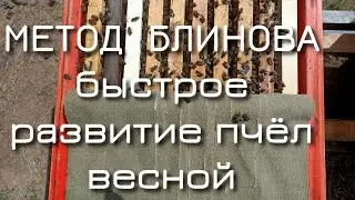 Метод Блинова. Быстрое развитие пчелиных семей весной. Весенние работы на пасеке.