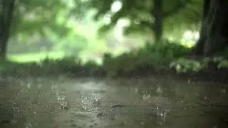 Raindrops in Slow Motion Template - No copyright | Windows 10 Look Better