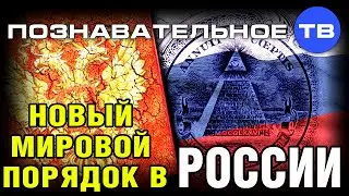 Новый мировой порядок в России (Познавательное ТВ, Ирина Бергсет)