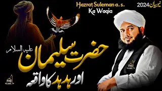 Hazrat Suleman A.S. Ka Waqia || Peer Ajmal Raza Qadri Bayan || Prophet Sulaiman a.s.  Story