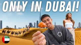 This Is DUBAI’S Famous Desert Safari! 🇦🇪