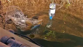 Рыбалка на ЗАКИДУШКИ( БУТЫЛКИ).Осенняя разведка ПО ДИКИМ МЕСТАМ! Рыбалка с ночевкой в палатке!