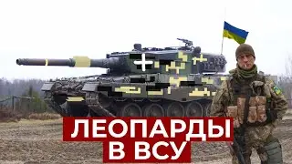 ЛЕОПАРДЫ В УКРАИНУ // LEOPARD 2A4 ДЛЯ ВСУ