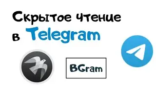 Как вернуть скрытое чтение и ввод в BGram