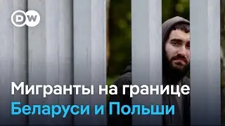 Зачем Польша вводит буферную зону на границе с Беларусью, и кто выступает против