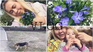 VLOG 🌿 У меня горе / делюсь чувствами / переборола свой страх