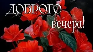 Пусть этот вечер будет каким-то особенным ♥️💙Доброго вечера💜♥️