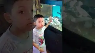 Vlog liburan agra kasihan telur pinguin pecah 😱Part 2225 sibocil