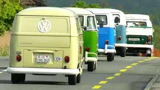 Classic VW Bus Jubilee Convoy - 75 Volkswagen Campervan, Transporter, Kombi - VW Type 2 T1, VW T2