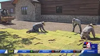 Bermuda hybrid grass is now being installed in Utah after near state wide ban was lifted