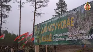 В Воложинском районе высадили 8 гектаров леса!
