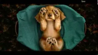 Кладбище Обреченных. Спасение Неупокоенных Душ. - прохождение игры.