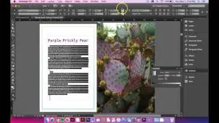 InDesign: Gradient Text