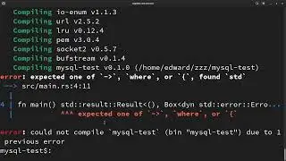 Rust Database MySQL Select Statement