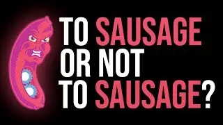 Is Sausage Fattener Still Relevant In 2019? When & How To Use It