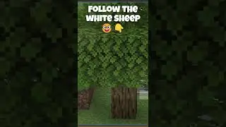 Follow the white sheep in minecraft