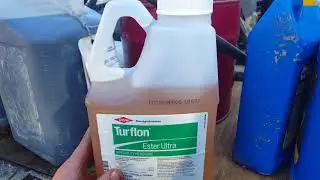 Spraying Weeds in Cold Weather