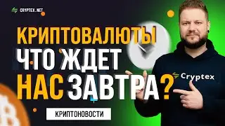 Cryptex net Биткойн и Эфир ведут рынок   Ежедневный обзор криптовалют