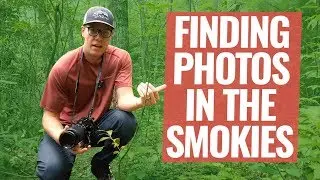 Finding Landscape Photography Locations in Great Smoky Mountains National Park