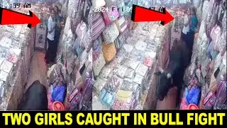 Two Girls caught between Fighting Bulls at sari shop in Rishikesh, India