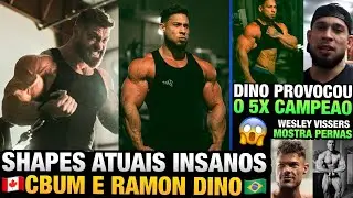 INSANOS: CBUM E RAMON MOSTRAM SHAPES GIGANTES E FIBRADOS + WESLEY COM PERNA FINA AINDA ??