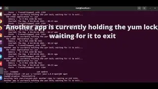 Another app is currently holding the yum lock; waiting for it to exit
