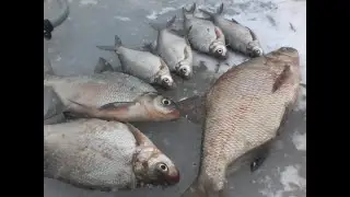 ЗА КРУПНЫМ ЛЕЩЕМ НА СУРСКОЕ ВОДОХРАНИЛИЩЕ.ДОБРАТСЯ ЛЮБОЙ ЦЕНОЙ.ДОРОГА ПОСЛЕ СНЕГОПАДА