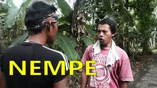 NEMPE || FILM PENDEK || PADEPOKAN FILM