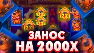 ЛУЧШАЯ СЕССИЯ ВСЕЙ МОЕЙ ЖИЗНИ!!! ПОЙМАЛ МЕГАЗАНОС НА 2000X ПО СТАВКЕ *****р THE DOG HOUSE MEGAWAYS!