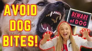 5 SIGNS A DOG Will BITE YOU? | Vet Explains