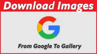 How To Download Images From Google To Gallery In Android