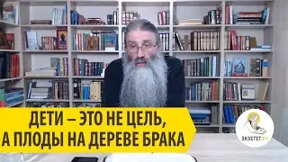 Дети, не цель, а плоды на дереве брака. Священник Максим Первозванский