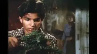 the Karate Kid 1984 trailer