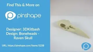 Raven Skull 3D Print Timelapse