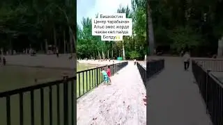 Бишкекте чакан көл пайда болду🙌