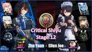 Zhu Yuan & Ellen Joe Shiyu Defence 12 S Rank Clear | Zenless Zone Zero